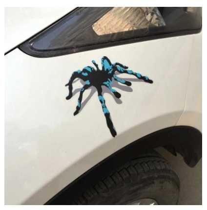 3D Personality Car Stickers Decals Funny Spider Cat Dog Waterproof 