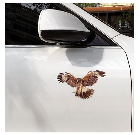 30*18cm 3D Big Eagle Car Stickers Decals Waterproof