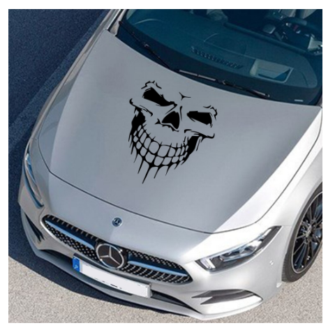 2Pcs Car Hood Stickers Auto Side Door