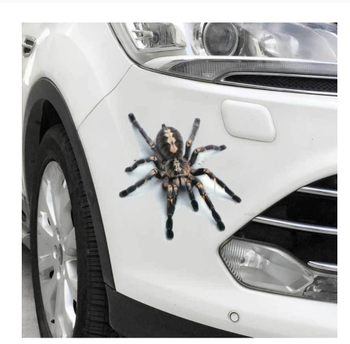 Funny 3D Cartoon Colorful Frogs Spider Feather Car Stickers 