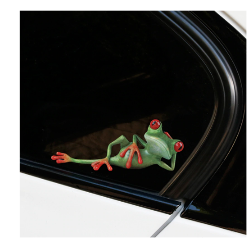 Funny 3D Cartoon Colorful Frogs Spider Feather Car Stickers 